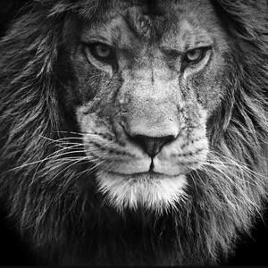 Meet your Posher, Ignacio